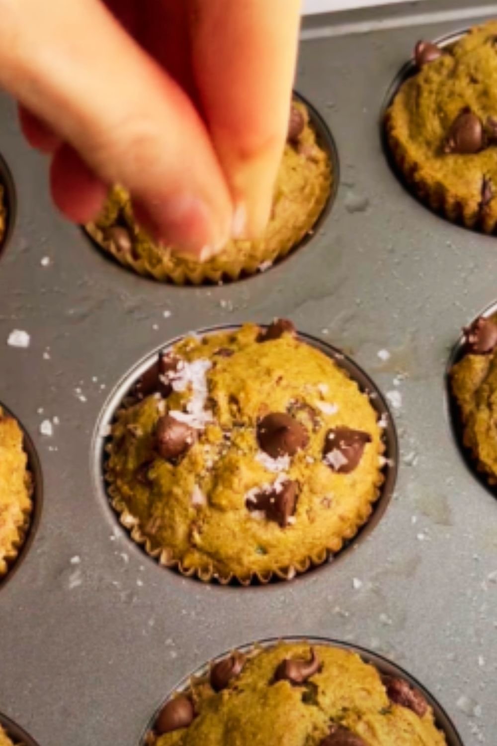 The Best Chocolate Chip Zucchini Muffins Recipe